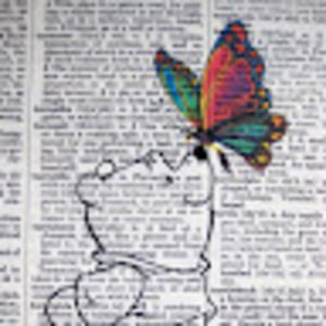 Meet your Posher, Illana